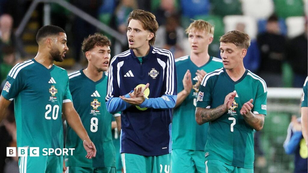 Northern Ireland 0-0 Hungary: Michael O'Neill 'positive' as NI maintain unbeaten start