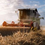 Wheat Posts Monday Losses | Nasdaq